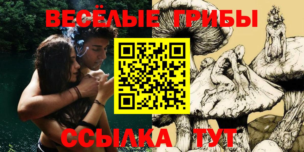 Ростов-на-Дону  Псилоцибиновые грибы MAGIC MUSHROOMS  Вход с VPN 